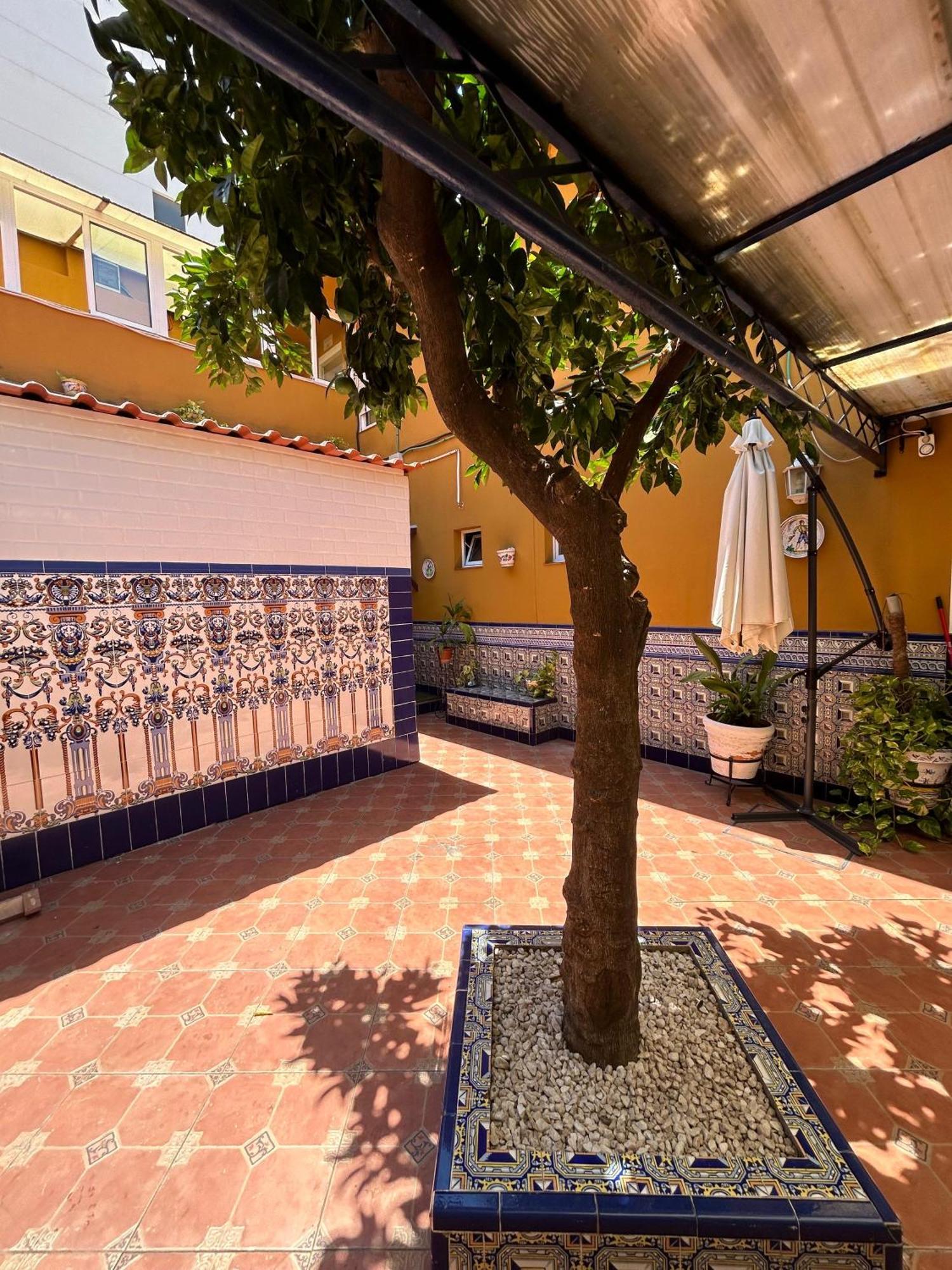 Hostal Avenida Andalucia - Solo Adultos 塞维利亚 外观 照片