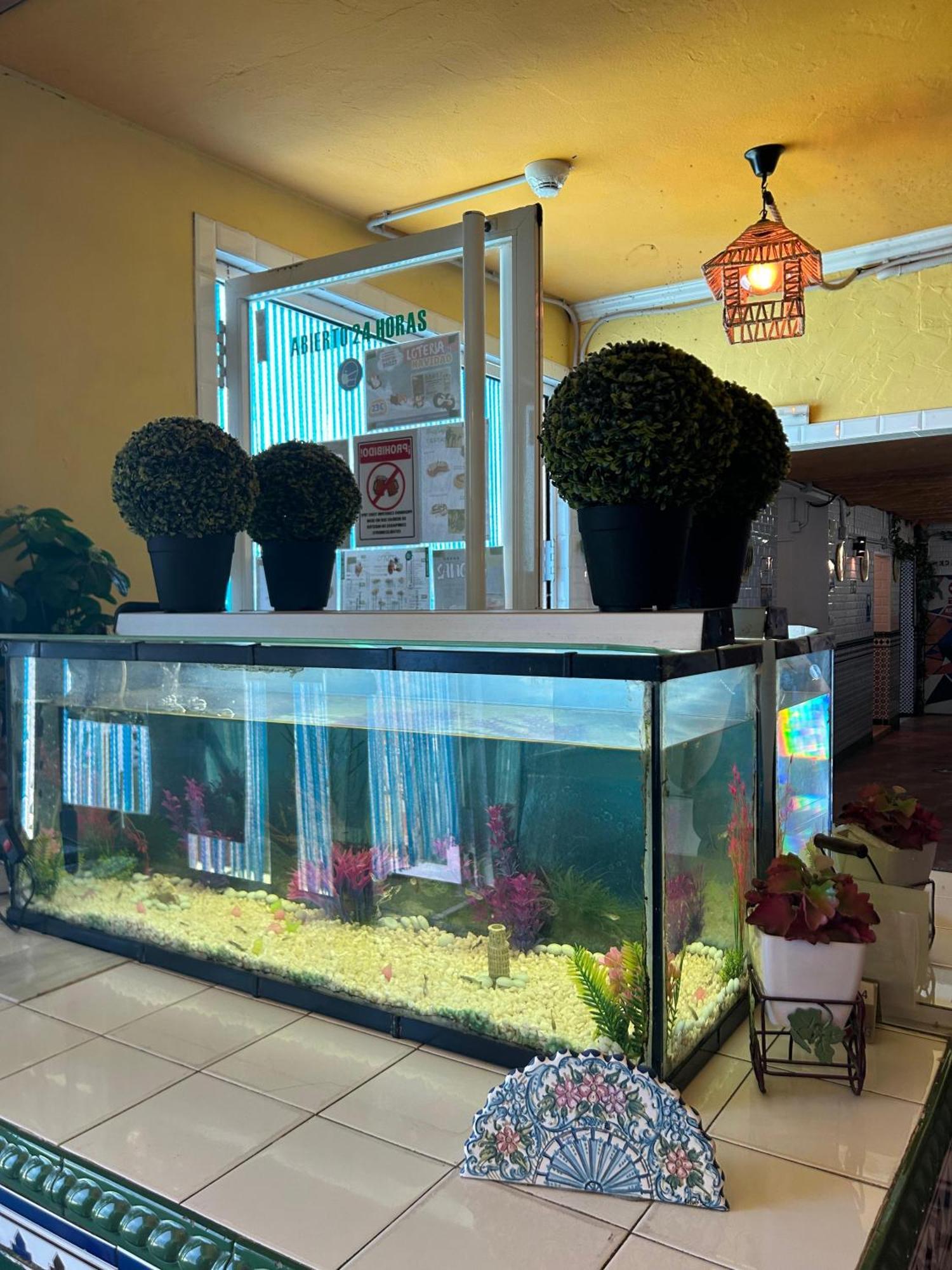 Hostal Avenida Andalucia - Solo Adultos 塞维利亚 外观 照片